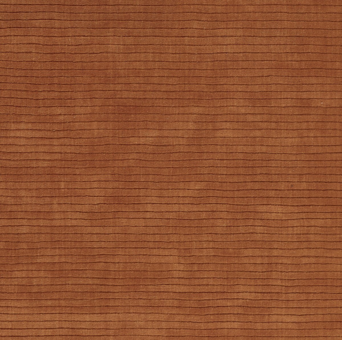 Asher - ASH-1 Area Rug