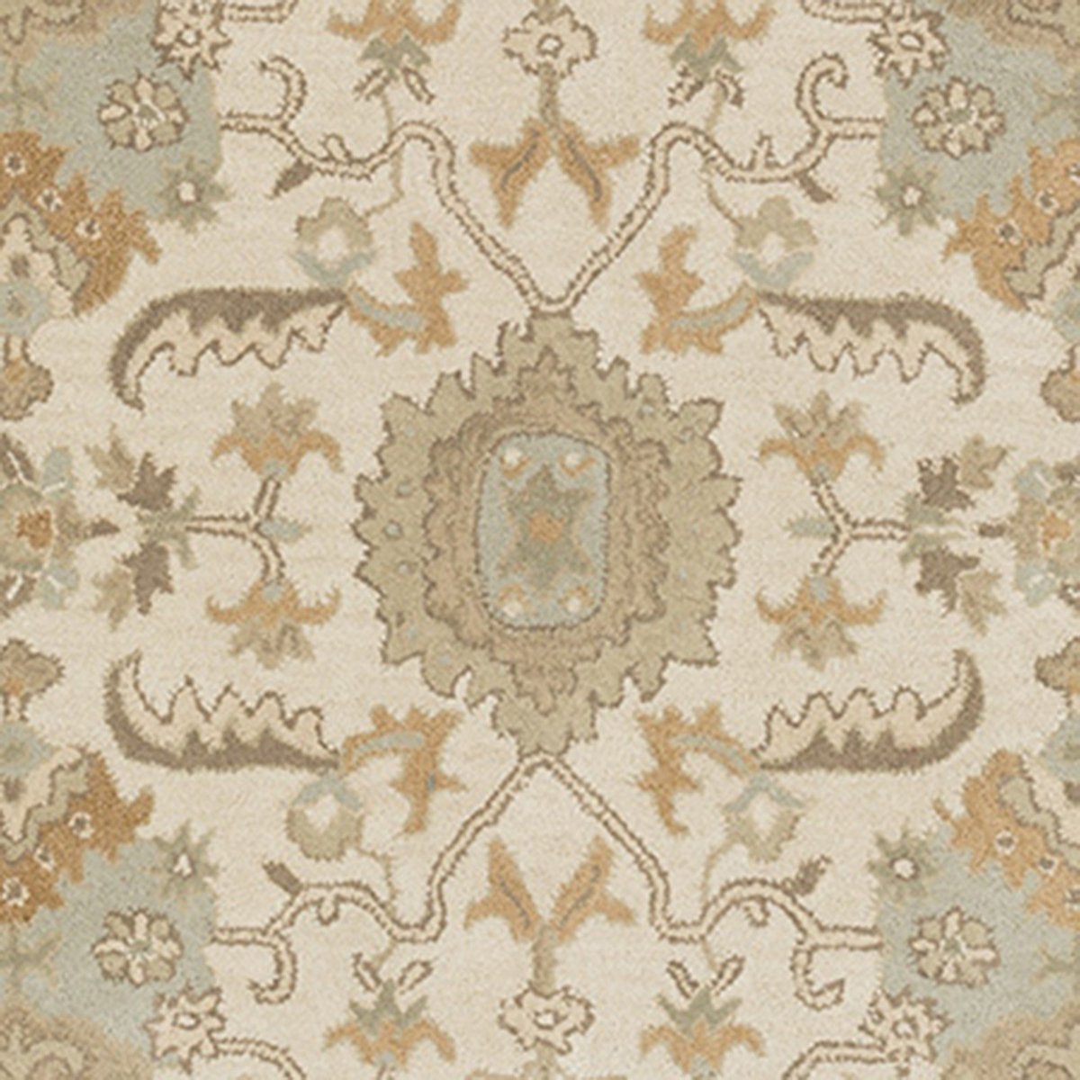Caesar - CAE-1166 Area Rug