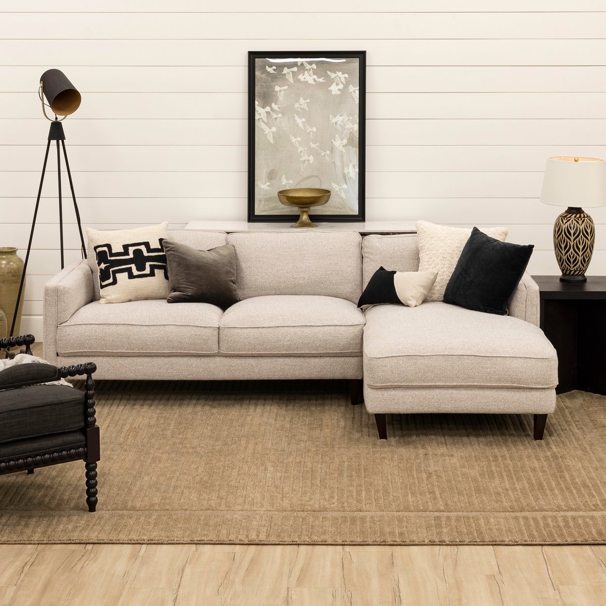 Terra Firma Area Rug