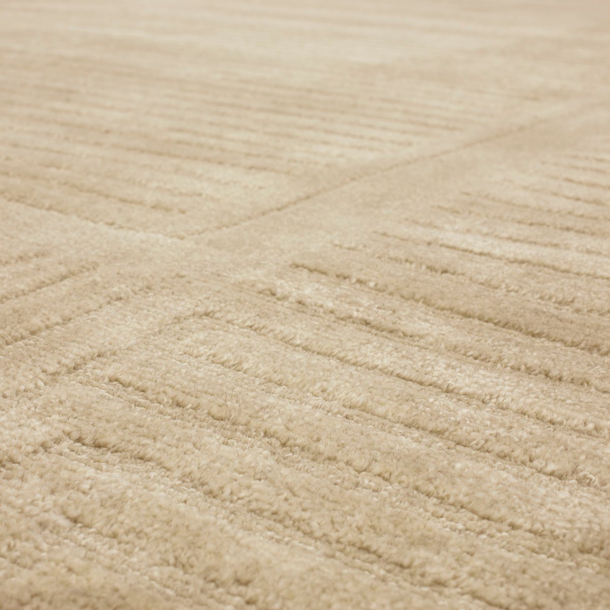 Terra Firma Area Rug