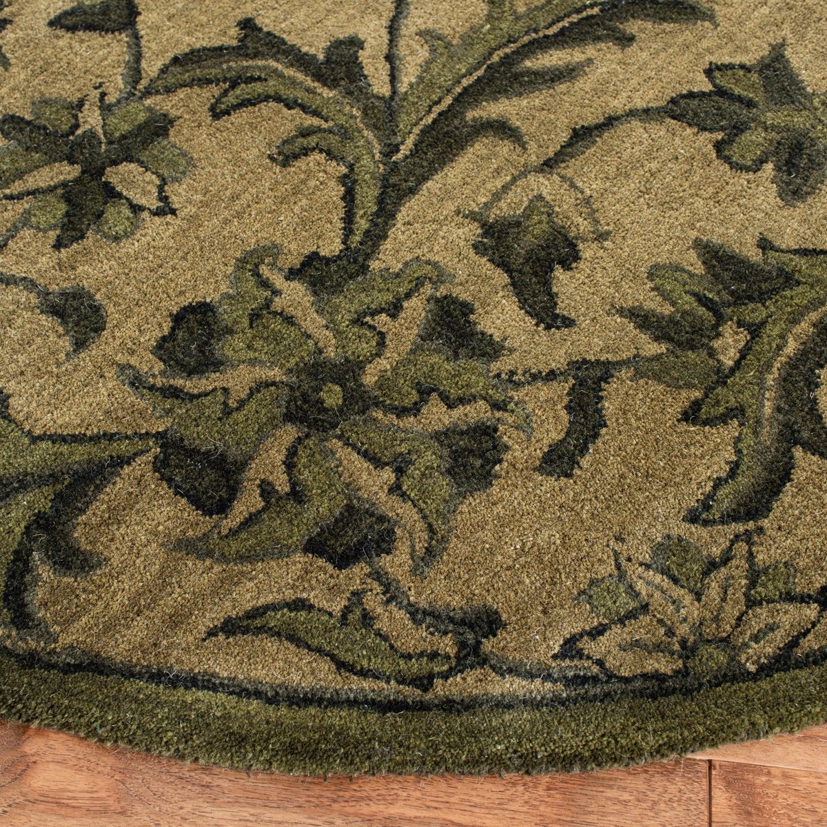 Antiquity - AT-824 Area Rug