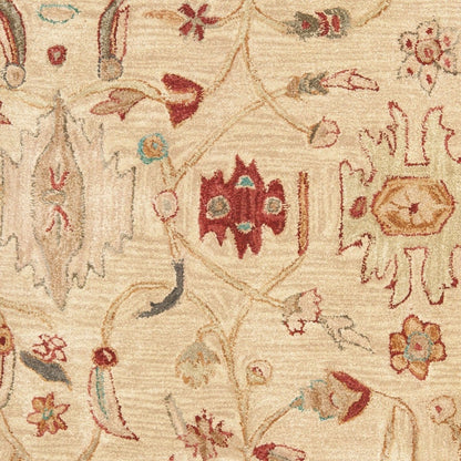 Anatolia AN-511 Area Rug