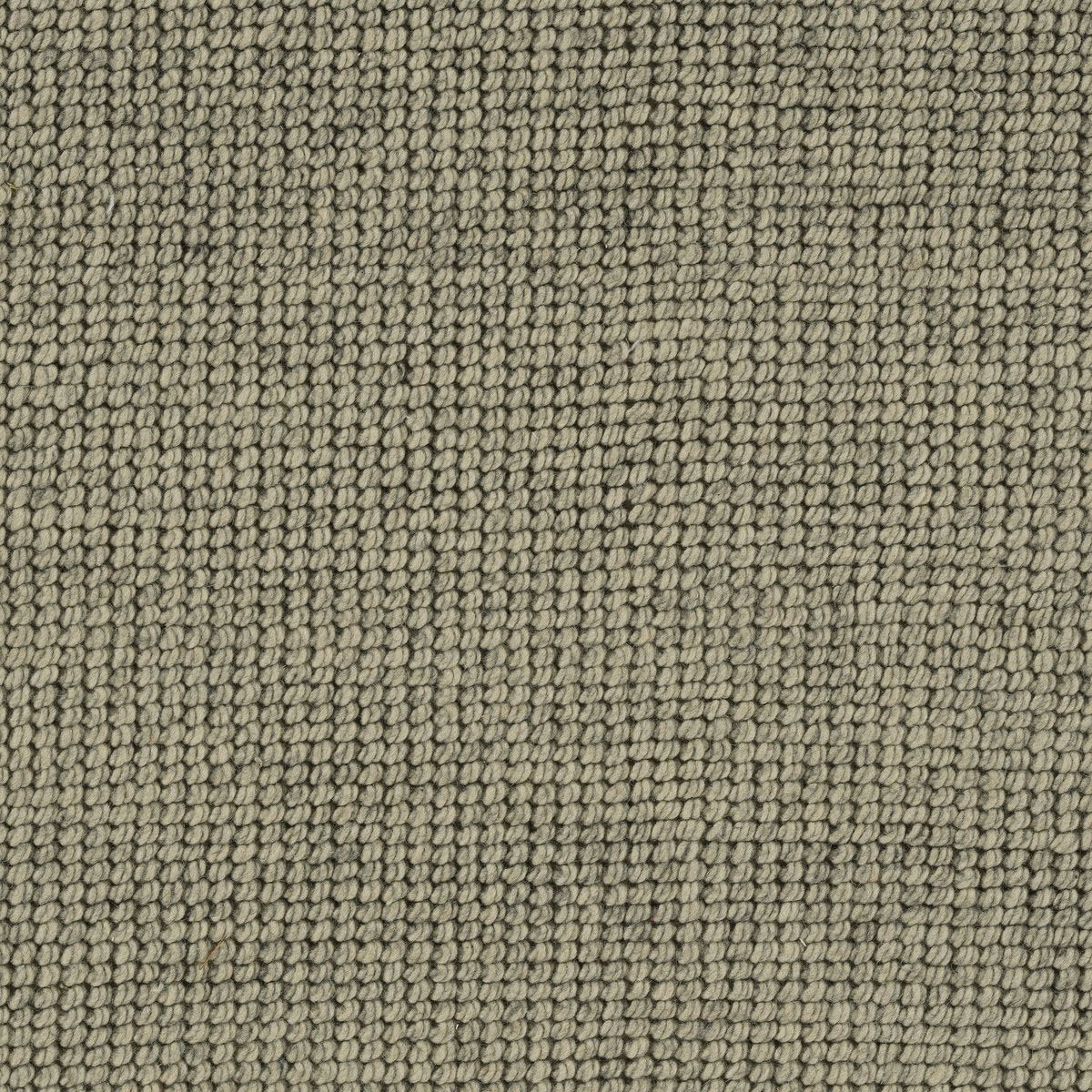 Broadloom - Ocoee Area Rug