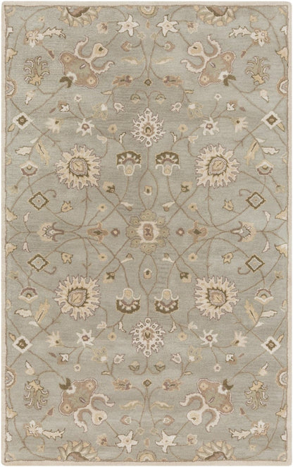 Caesar - CAE-1121 Area Rug