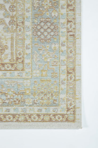 Isabella - ISA-8 Area Rug