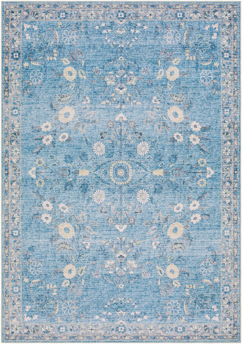 Lavable Printed - 499191 Area Rug