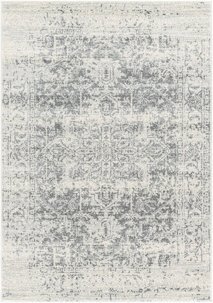 Harput - HAP-1024 Area Rug