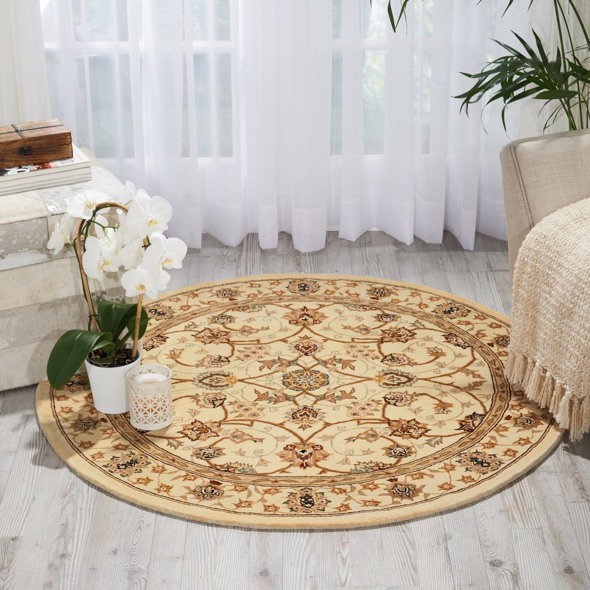 Nourison 2000 - 2023 Area Rug