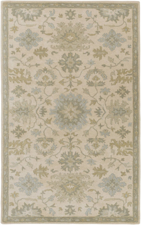 Caesar - CAE-1161 Area Rug