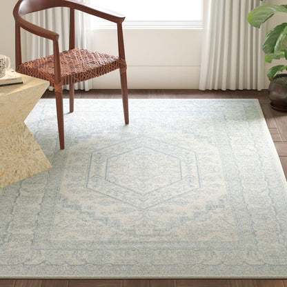 Adirondack - ADR-108 Area Rug