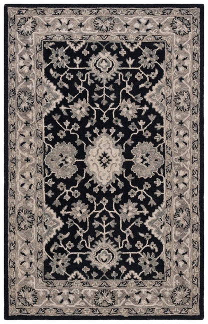 Aspen - APN-134 Area Rug