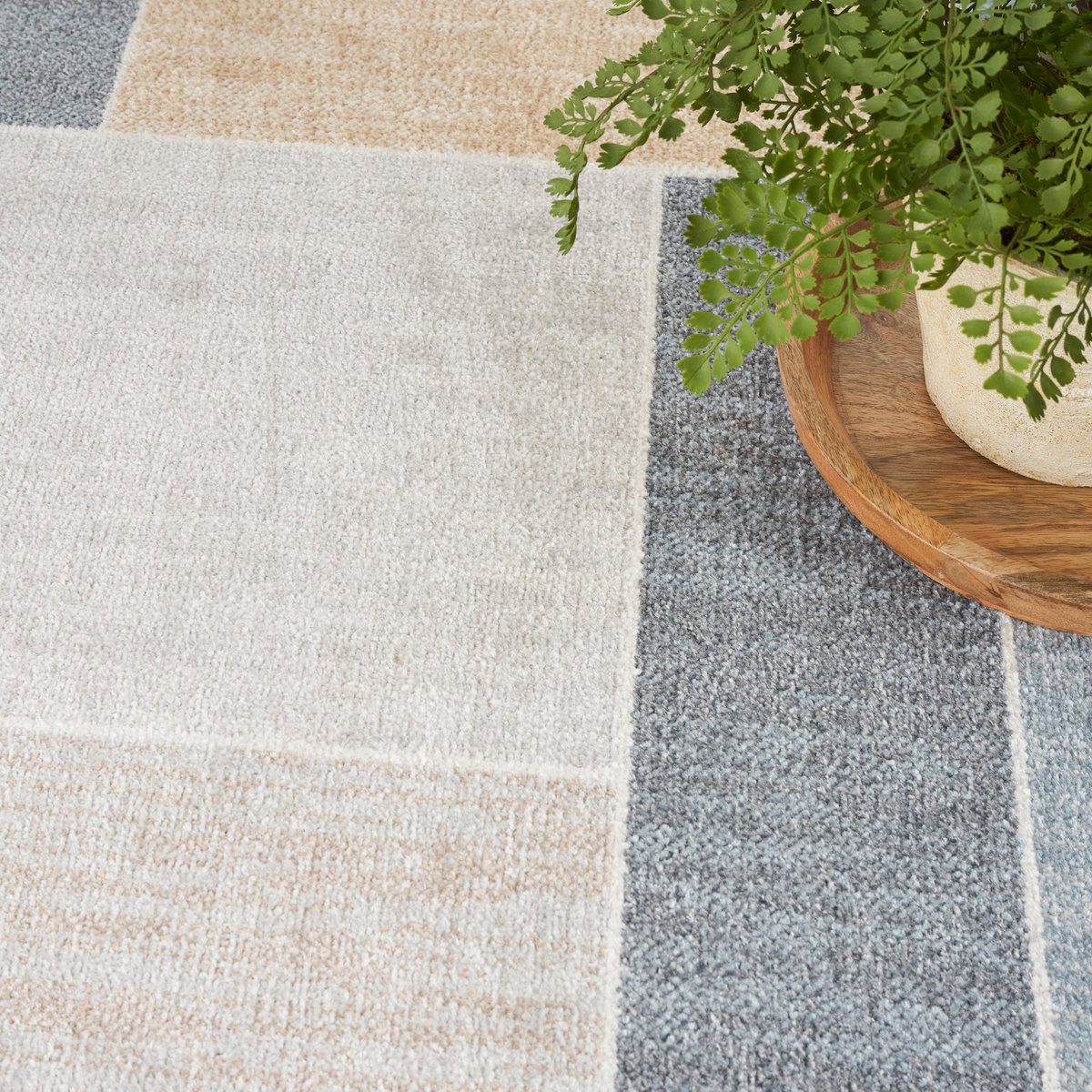 Astra Washables - ASW-09 Area Rug