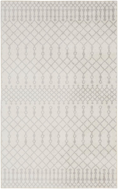 Astra Washables - ASW-10 Area Rug