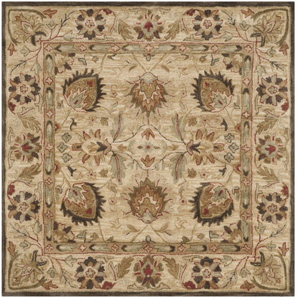 Antiquity - AT-812 Area Rug