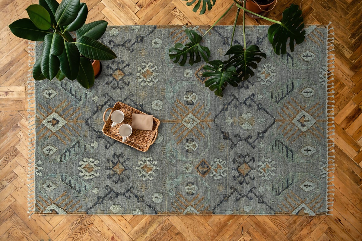 Alejandra - ALJ99 Area Rug