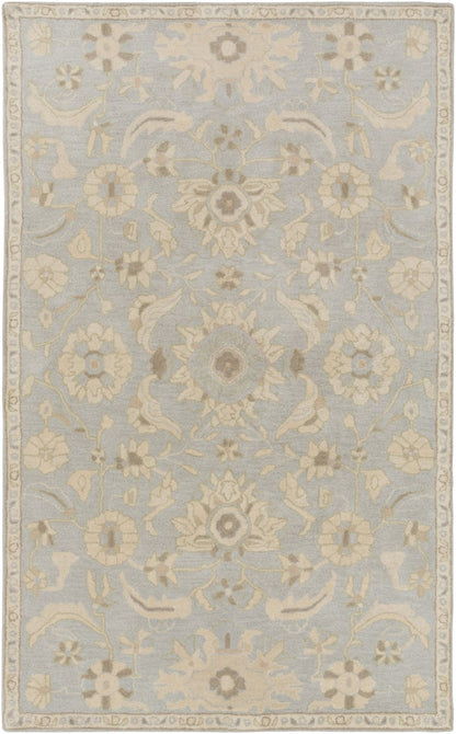 Caesar - CAE-1162 Area Rug