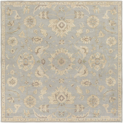 Caesar - CAE-1162 Area Rug