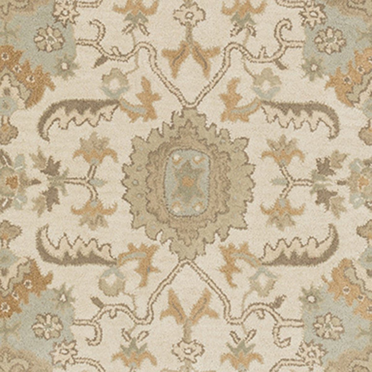 Caesar - CAE-1166 Area Rug