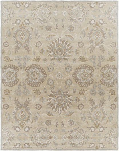 Caesar - CAE-1192 Area Rug