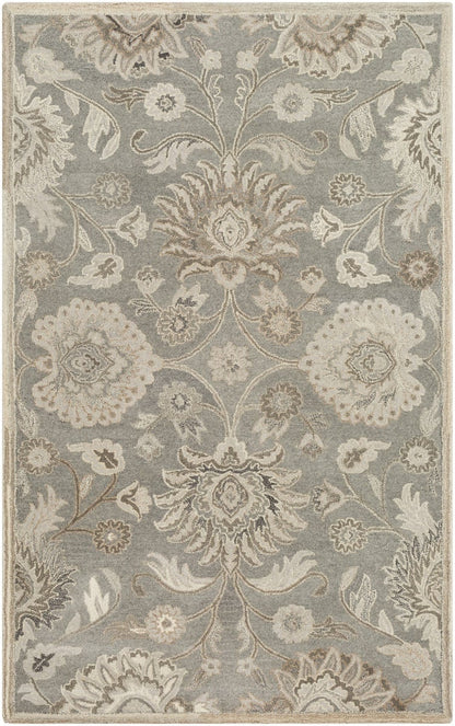 Caesar - CAE-1195 Area Rug