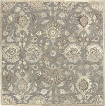 Caesar - CAE-1195 Area Rug