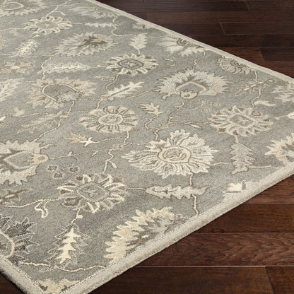 Caesar - CAE-1199 Area Rug