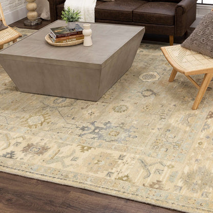 Cabrillo - Cantabria Area Rug