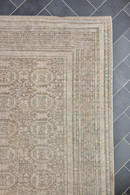 Dorset - DOR-1 Area Rug