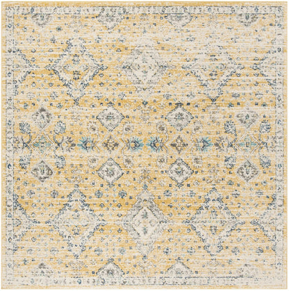 Evoke - EVK-224 Area Rug