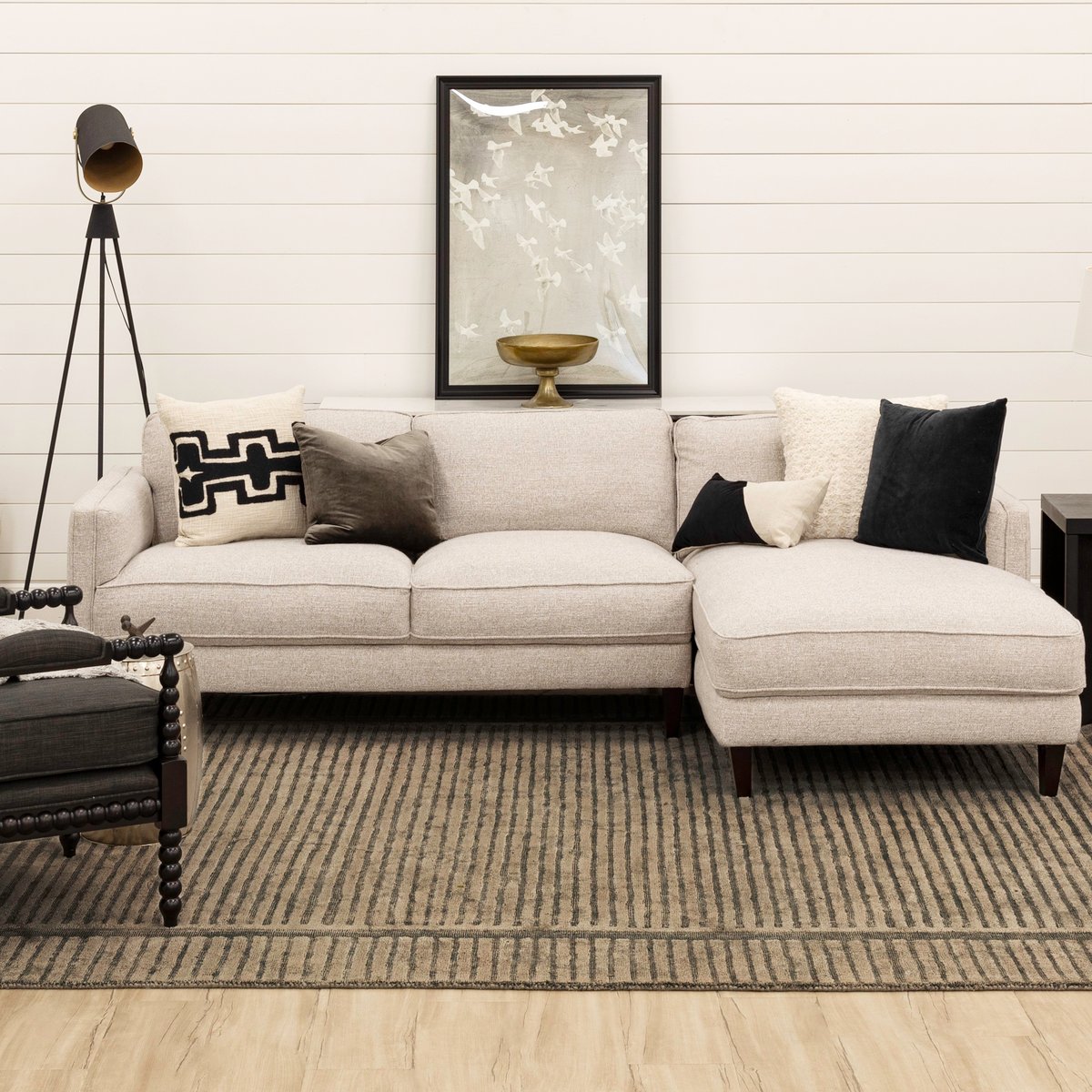 Terra Firma Area Rug
