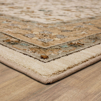 Euphoria - Ulster Area Rug